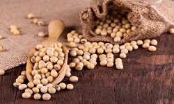Soyabeanse